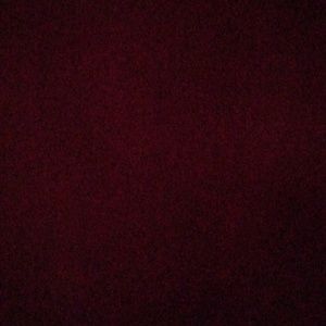 Meet your Posher, Alisha